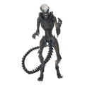 NECA Xenomorph Romulus figure front view for display-ready collection