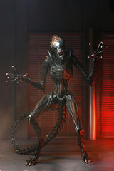 NECA Xenomorph Romulus figure ideal for cinematic-themed shelf setups