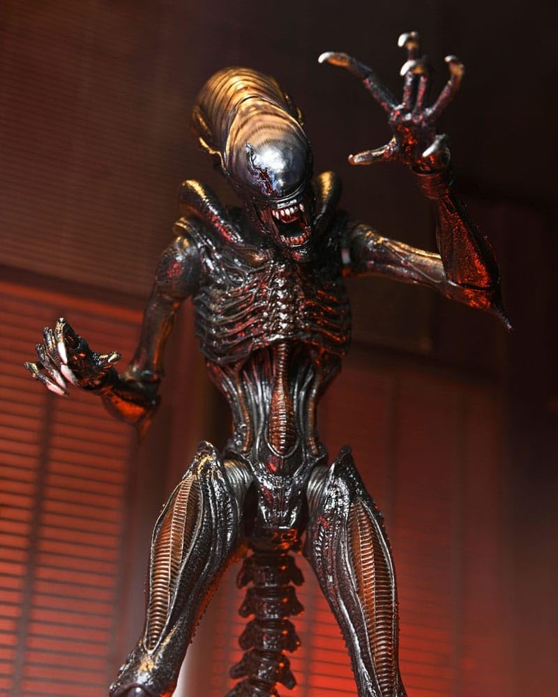 NECA Xenomorph Romulus figure close-up texture reveals glossy exoskeleton detail