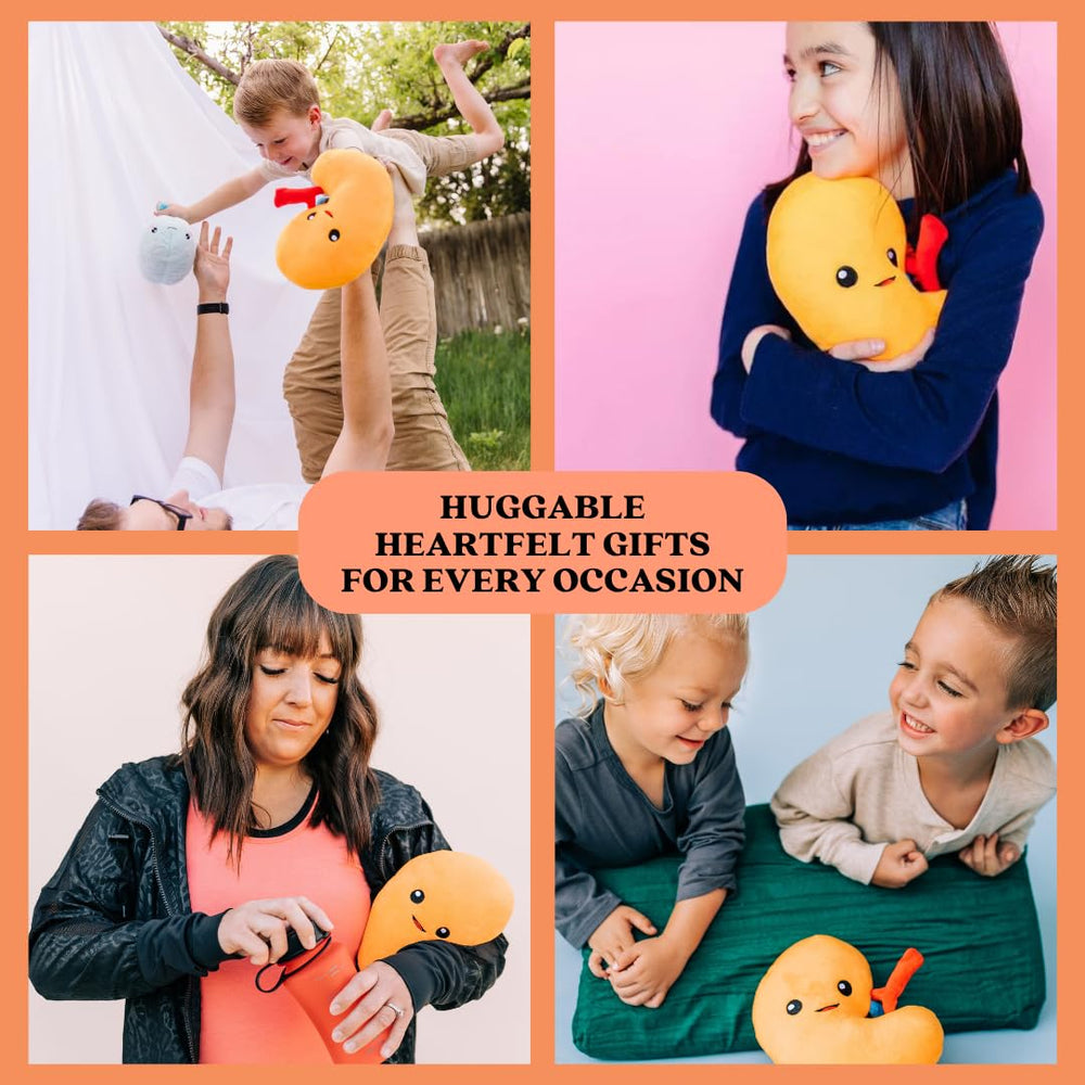 nerdbugs Kidney Plush bedside companion for dialysis or recovery moments