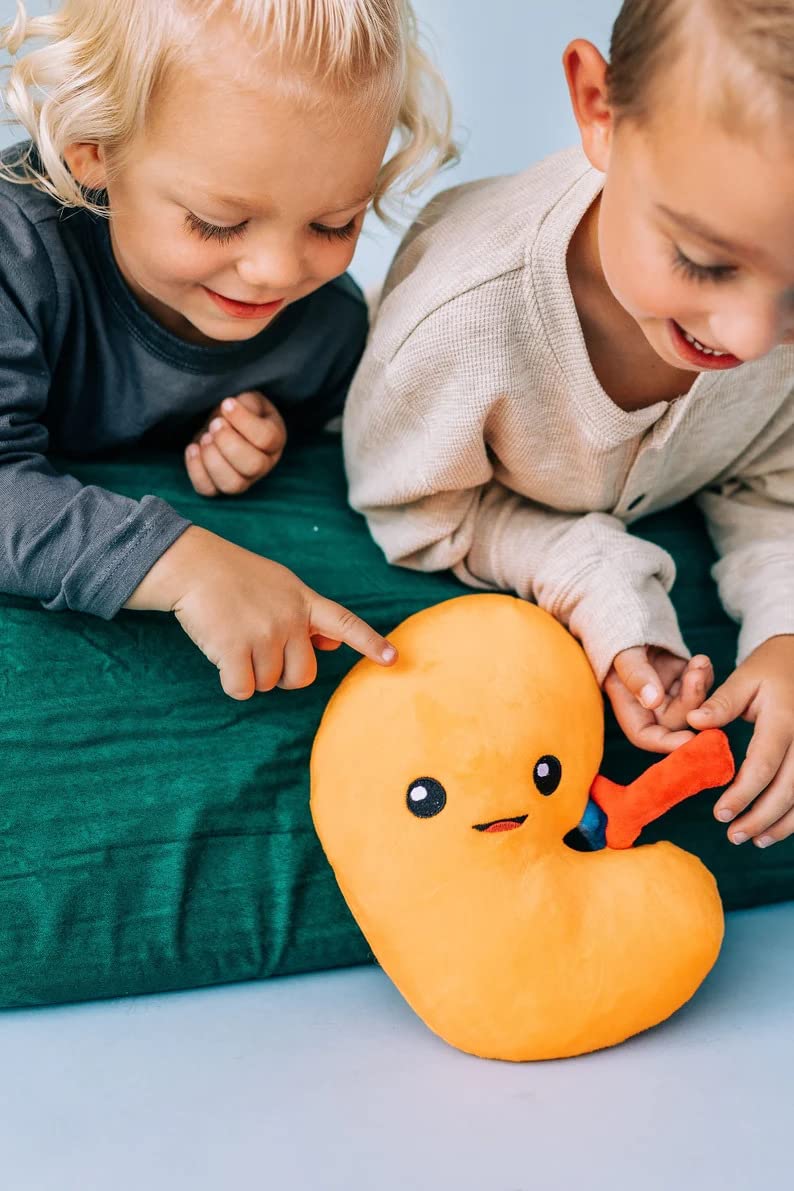 nerdbugs Kidney Plush classroom teaching aid for friendly kidney health lessons
