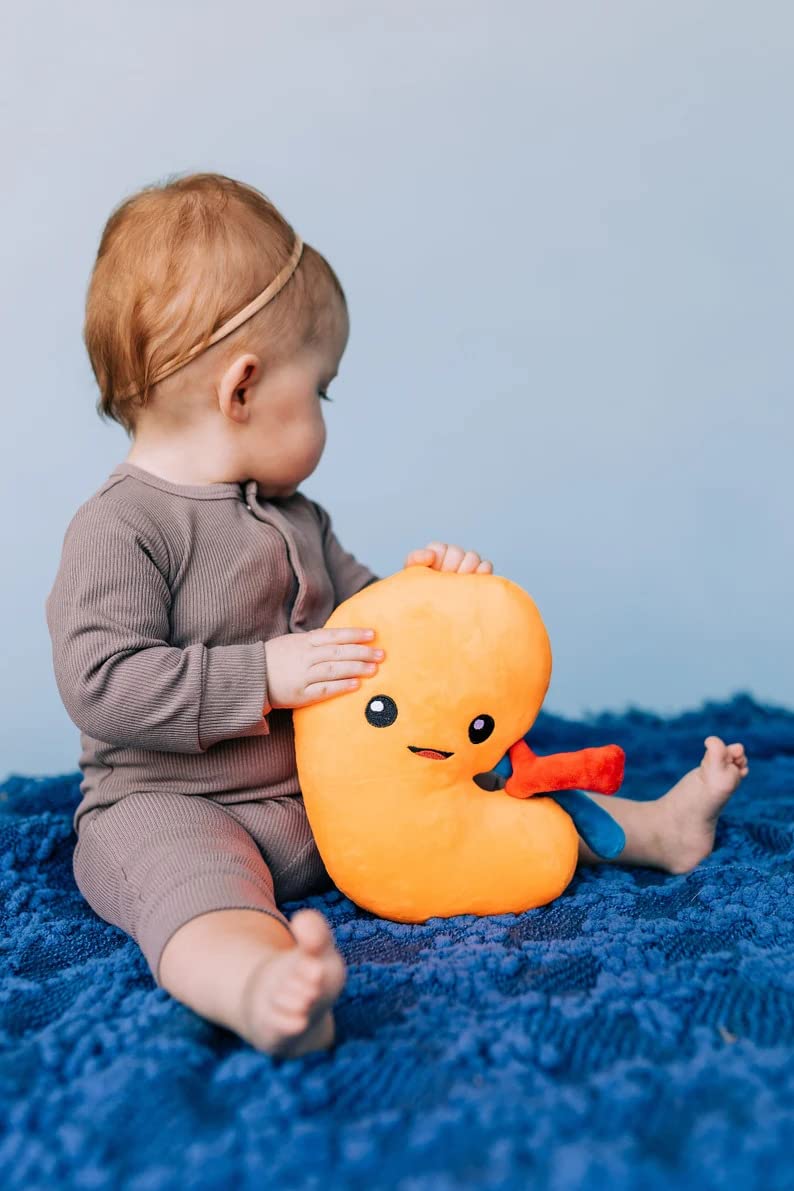 nerdbugs Kidney Plush medical professional gift as a lighthearted education tool