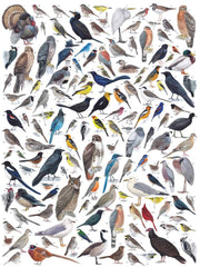 New York Puzzle Company bird species cardinals roadrunners illustration, perfect for nature enthusiasts