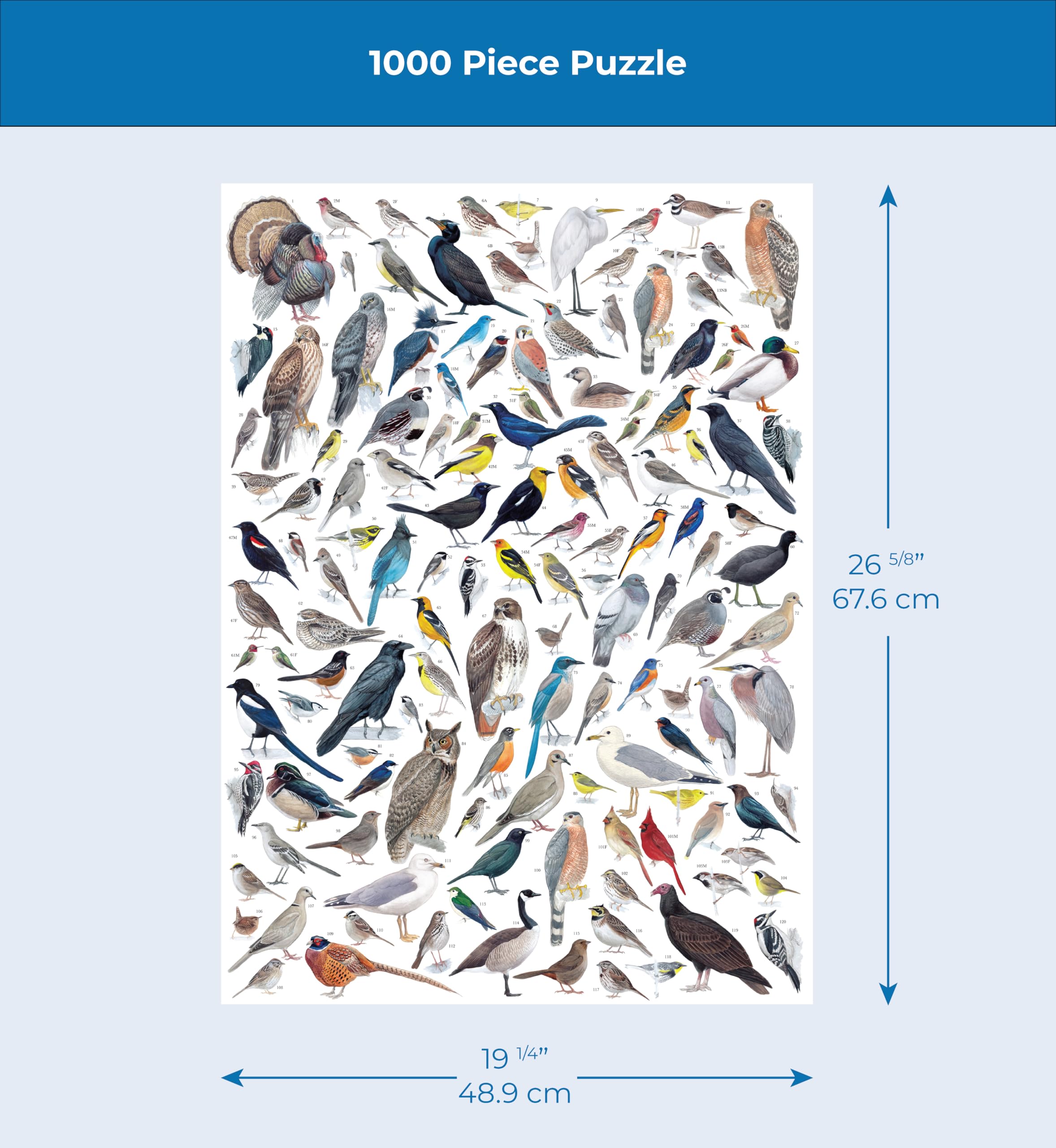 New York Puzzle Company made-in-USA label highlights quality and local craftsmanship