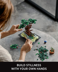 Nifeliz CHAN Bonsai Tree Building Set gift packaging suitable for nature lovers