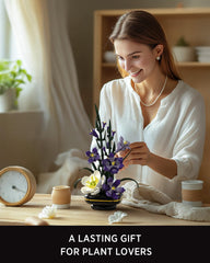 Nifeliz Gladiolus building set packaging and components arranged for gifting