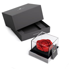 Nifeliz ROSEEVER rose-building-set with acrylic cover, ideal for heartfelt gifting