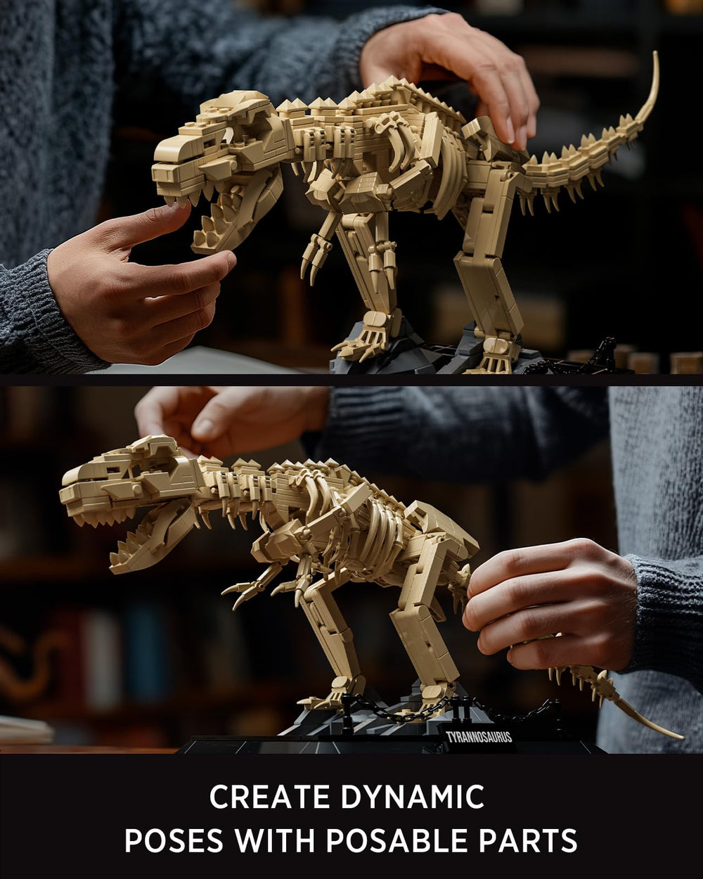 Nifeliz T. Rex Fossils Model on desk provides educational interest.