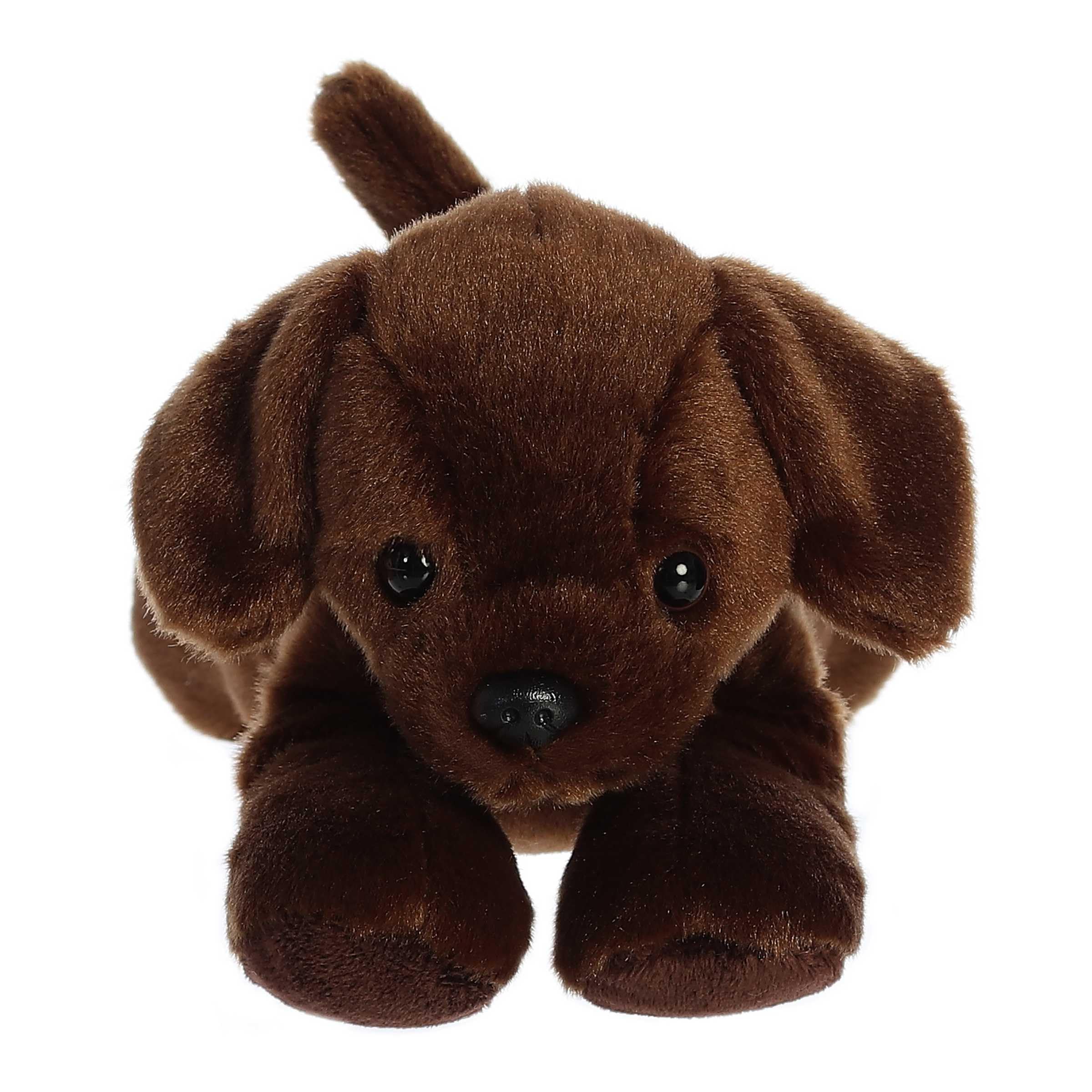 Lil' Lucky's floppy ears and soft fur invite gentle affection and comforting hugs.