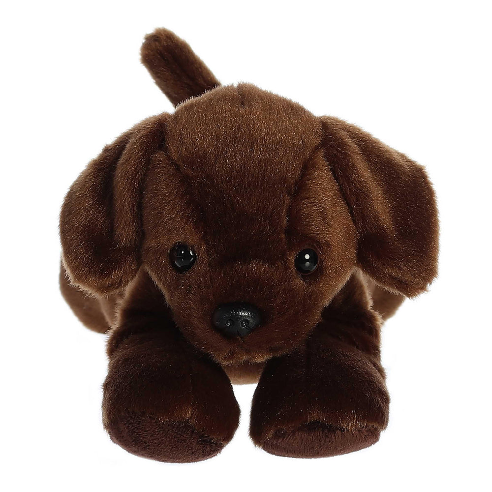 Lil' Lucky's floppy ears and soft fur invite gentle affection and comforting hugs.