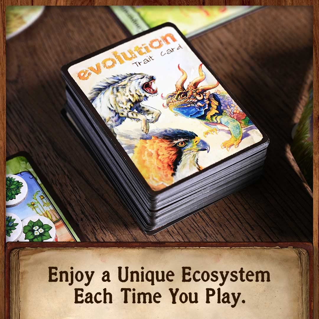North Star Games Evolution supports 2-6 players for flexible gatherings