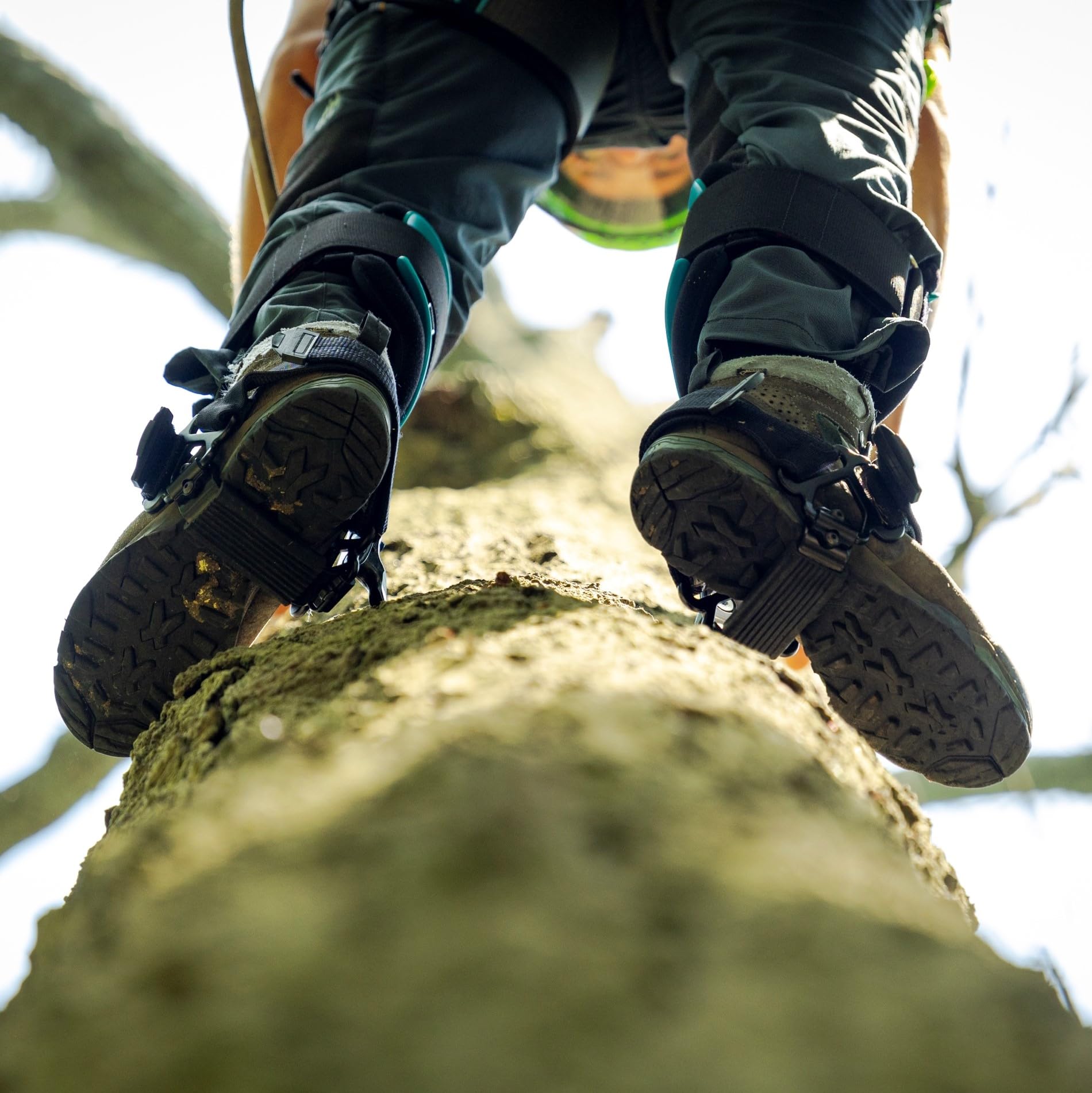 Notch Steel Climbers support up to 350 lbs total weight with gear.