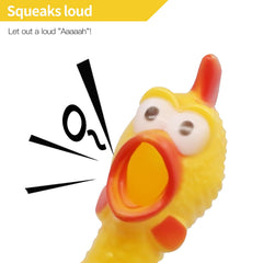 Novelty Place squawking chicken toy shown as a goofy gift or prank prop.