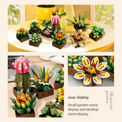 Noziaa deluxe color box packaging, premium gifting presentation.