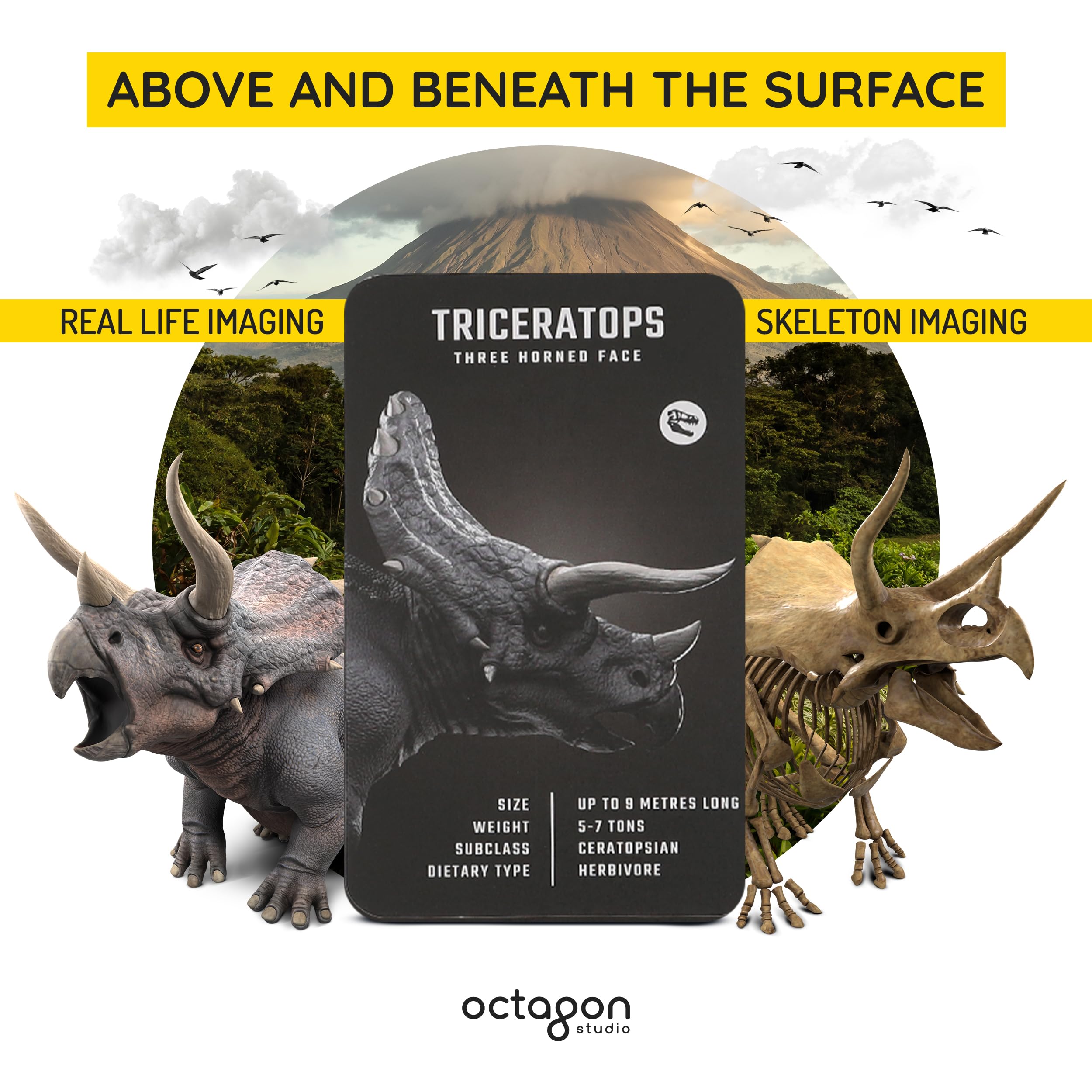 Drive mode on Octagon Studio Dinosaur 4D+ flashcards makes dinos walk