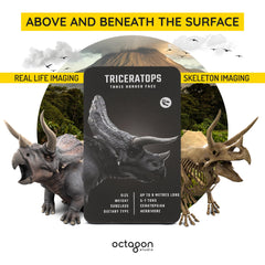 Drive mode on Octagon Studio Dinosaur 4D+ flashcards makes dinos walk