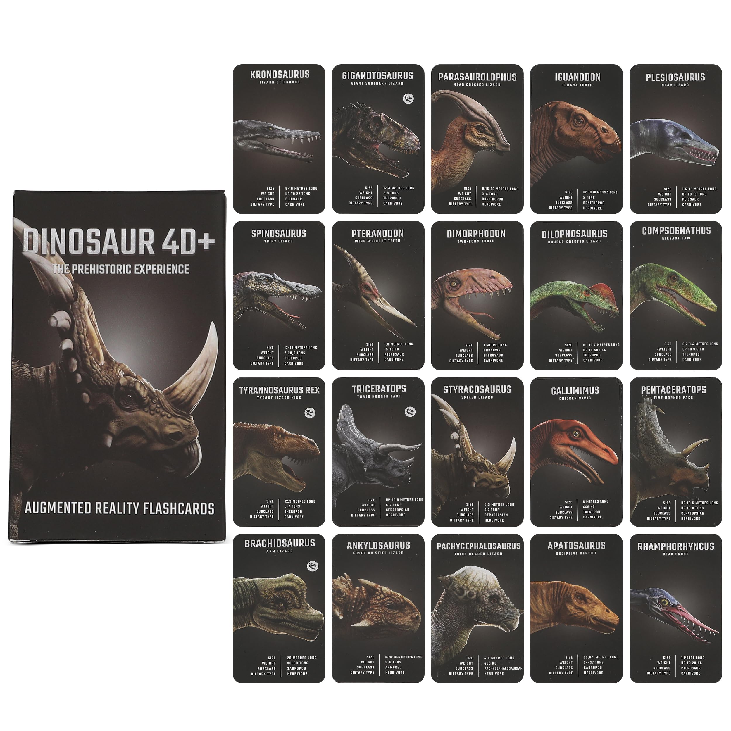 Offline, ad-free app experience with Octagon Studio Dinosaur 4D+ flashcards