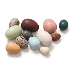 OESSUF wooden eggs in varied sizes for sensory play and early learning.