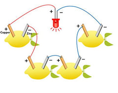 Ologymart fruit battery LED kit wiring tutorial step shows electrode connections