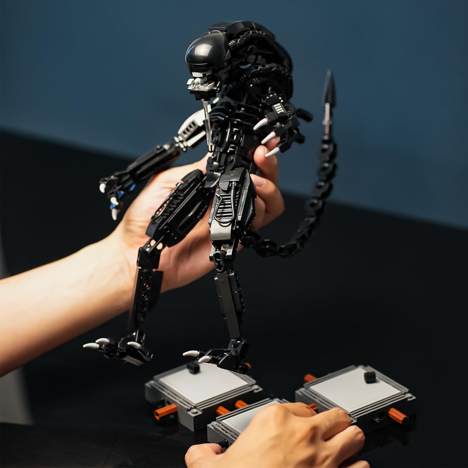 onederbkk Xenomorph display showcases a dramatic shelf or desk centerpiece