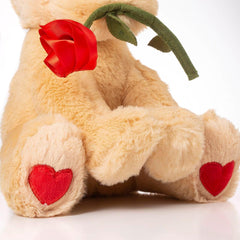 Oukiwi 10-inch dog gift-ready packaging for gift-giving occasions.