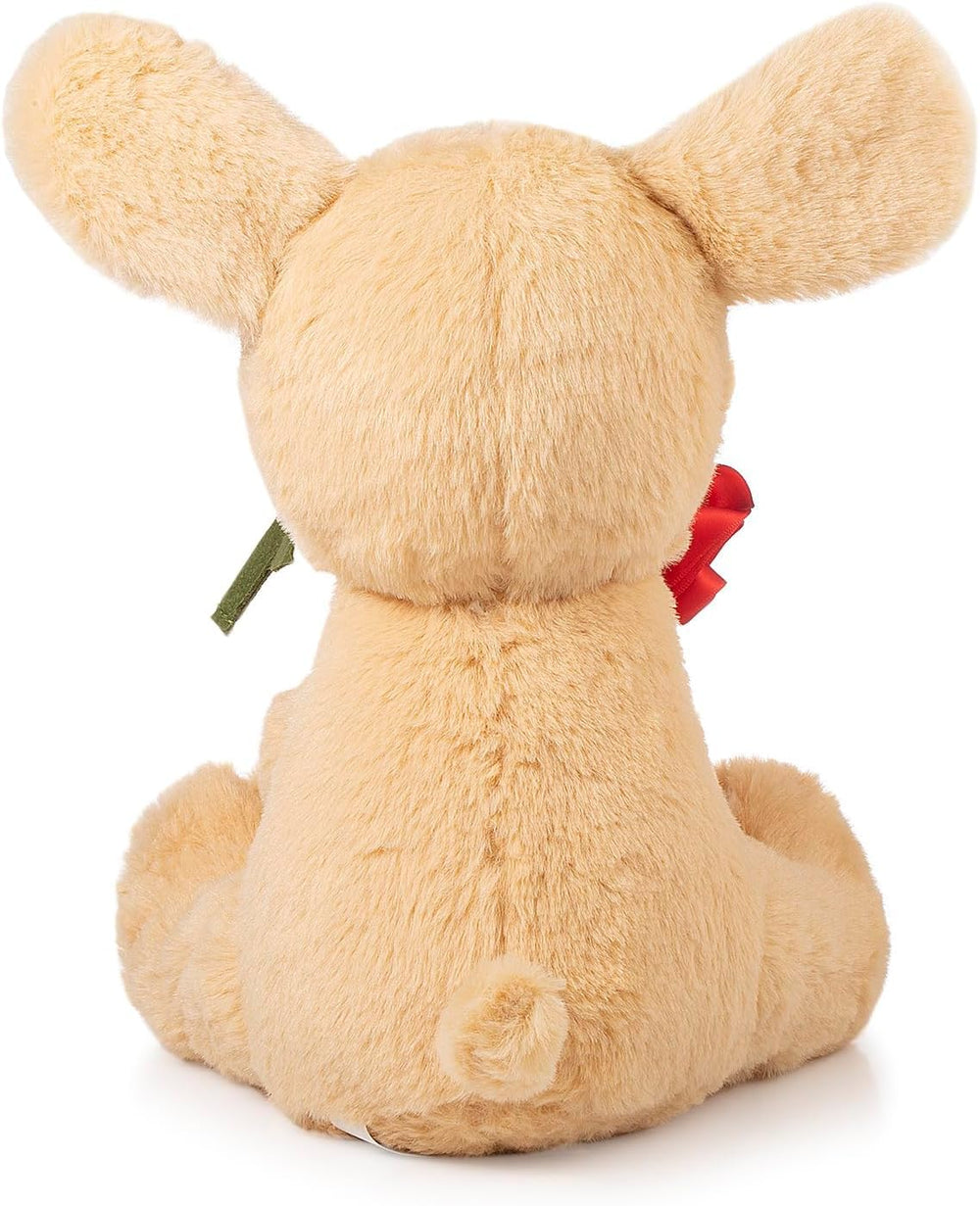 Oukiwi dog with kid-friendly design, safe for children.