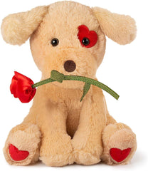 Oukiwi Valentines dog with rose on chest, a romantic symbol.