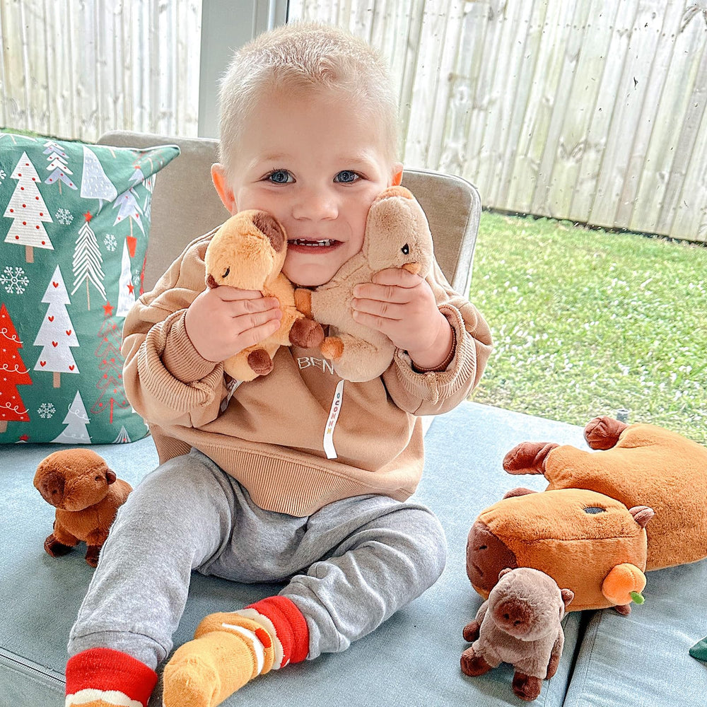 OUOZZZ capybara plush gift-ready packaging ideal for birthdays.