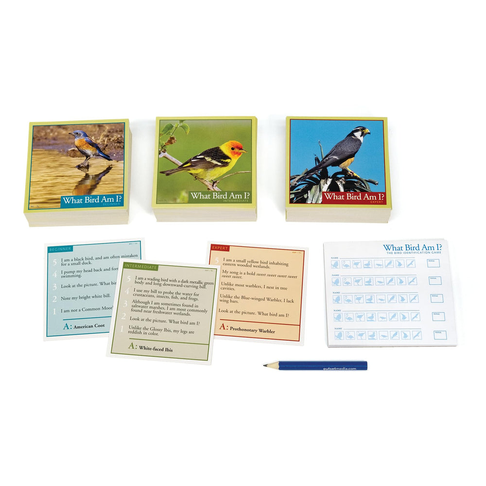 Outset Media What Bird Am I? pencil for recording points and notes