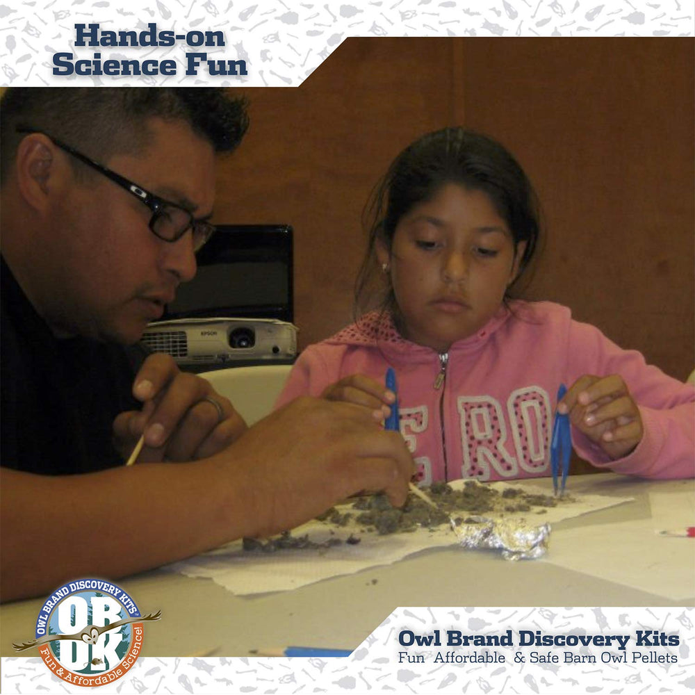 Owl Brand Discovery bone chart closeup supports bone identification during study.