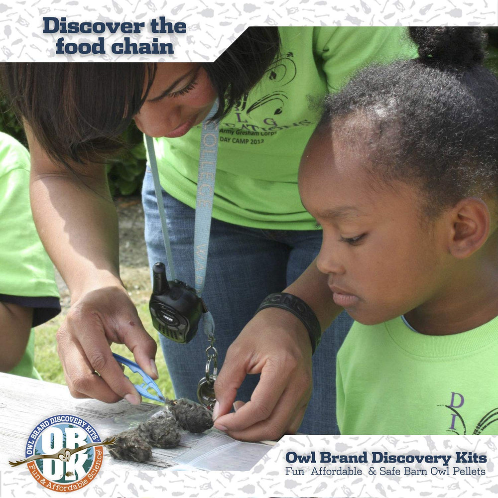 Owl Brand Discovery Kits students learn biology via hands-on dissection