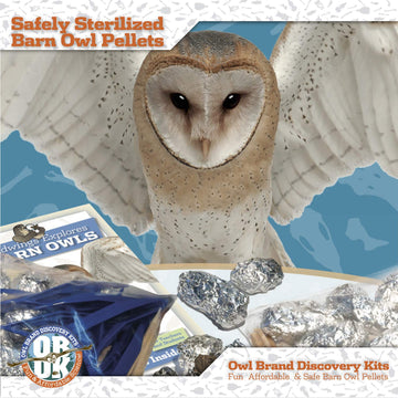 Owl Brand Discovery packaging box shows ready-to-use kit.
