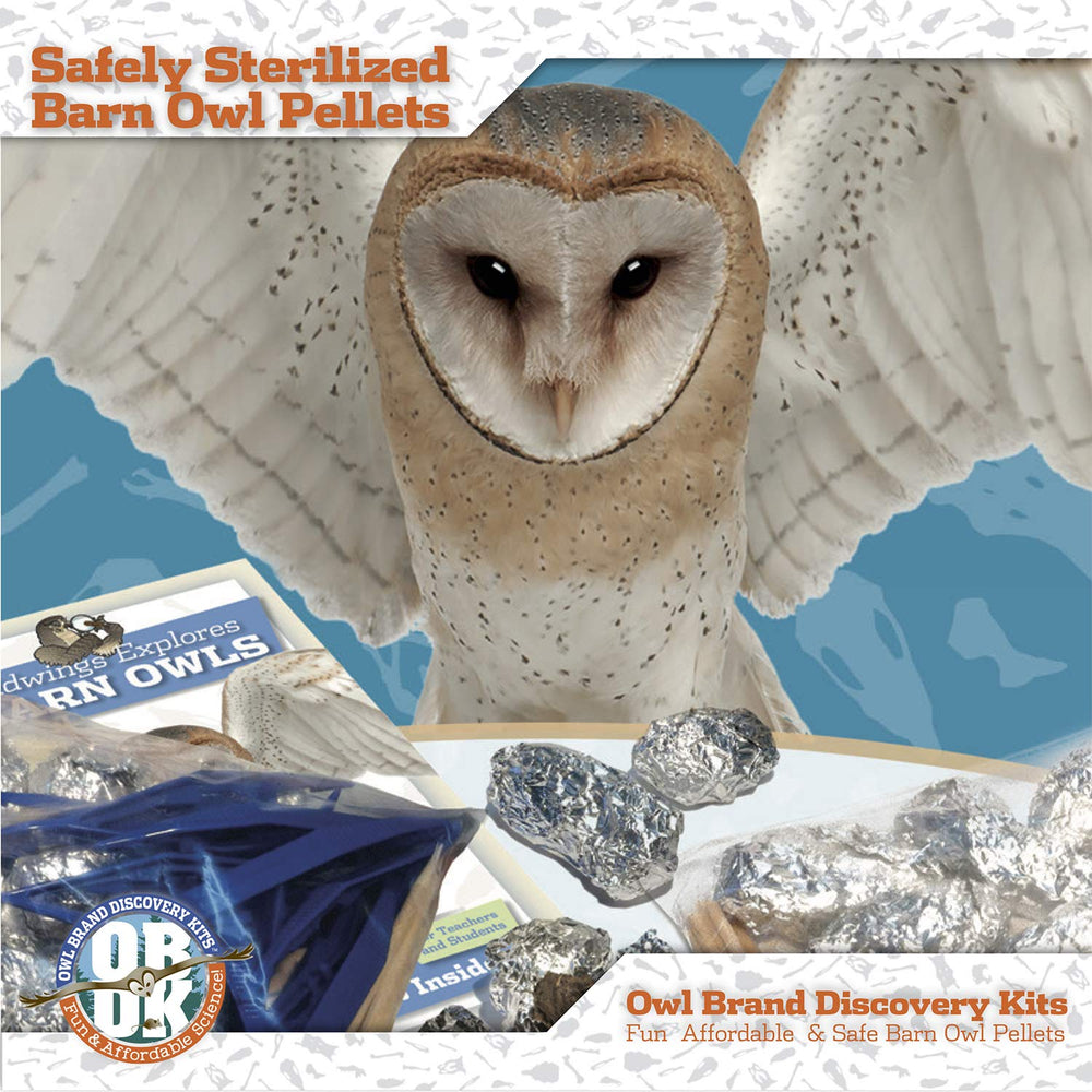 Owl Brand Discovery packaging box shows ready-to-use kit.