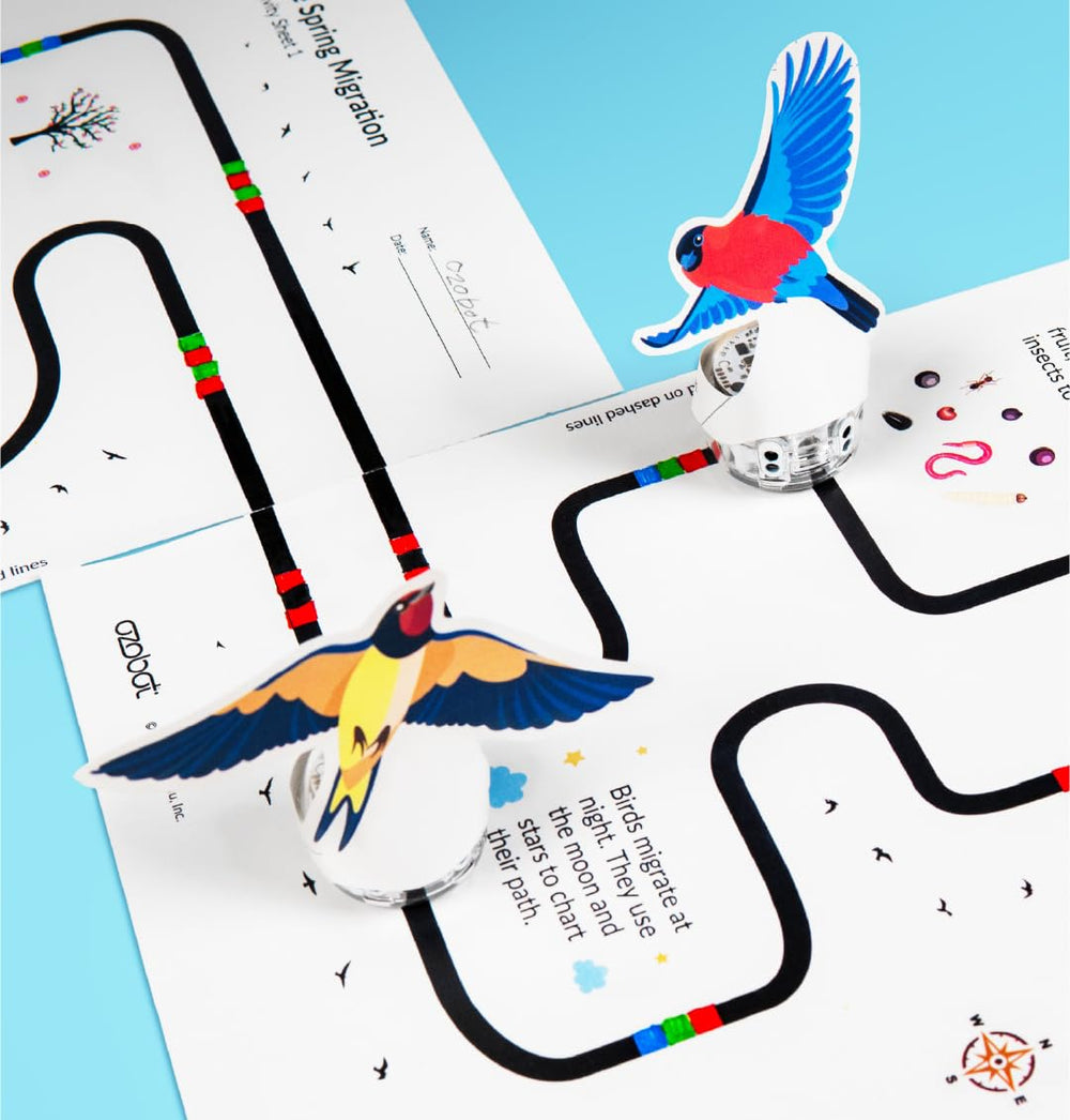 Ozobot Evo Entry Kit classroom use supports STEAM activities and lessons.