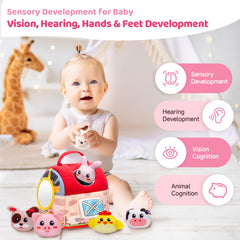 Padonise baby toy with mirror supports self-discovery and curiosity.