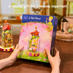 Ideal gift for adults and kids featuring Le Petit Prince