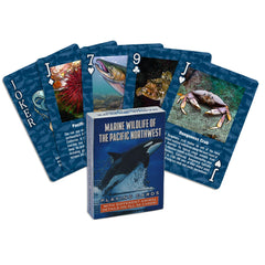 Paradise Cay Publications marine wildlife card deck - Pacific Northwest sea creature portrait, educational and engaging.