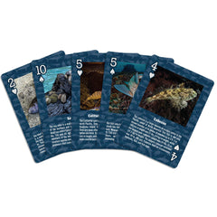 Paradise Cay Publications marine wildlife card deck - colorful Pacific Northwest ocean creature artwork, perfect for gifting.