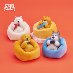 Party Animals Macchiato compact display for shelves