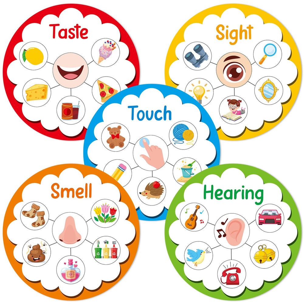 Party Greeting five senses big cards illustrate each sense for hands-on learning.