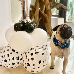 PartyWoo dog-themed party decor balloons suitable for arches and garlands