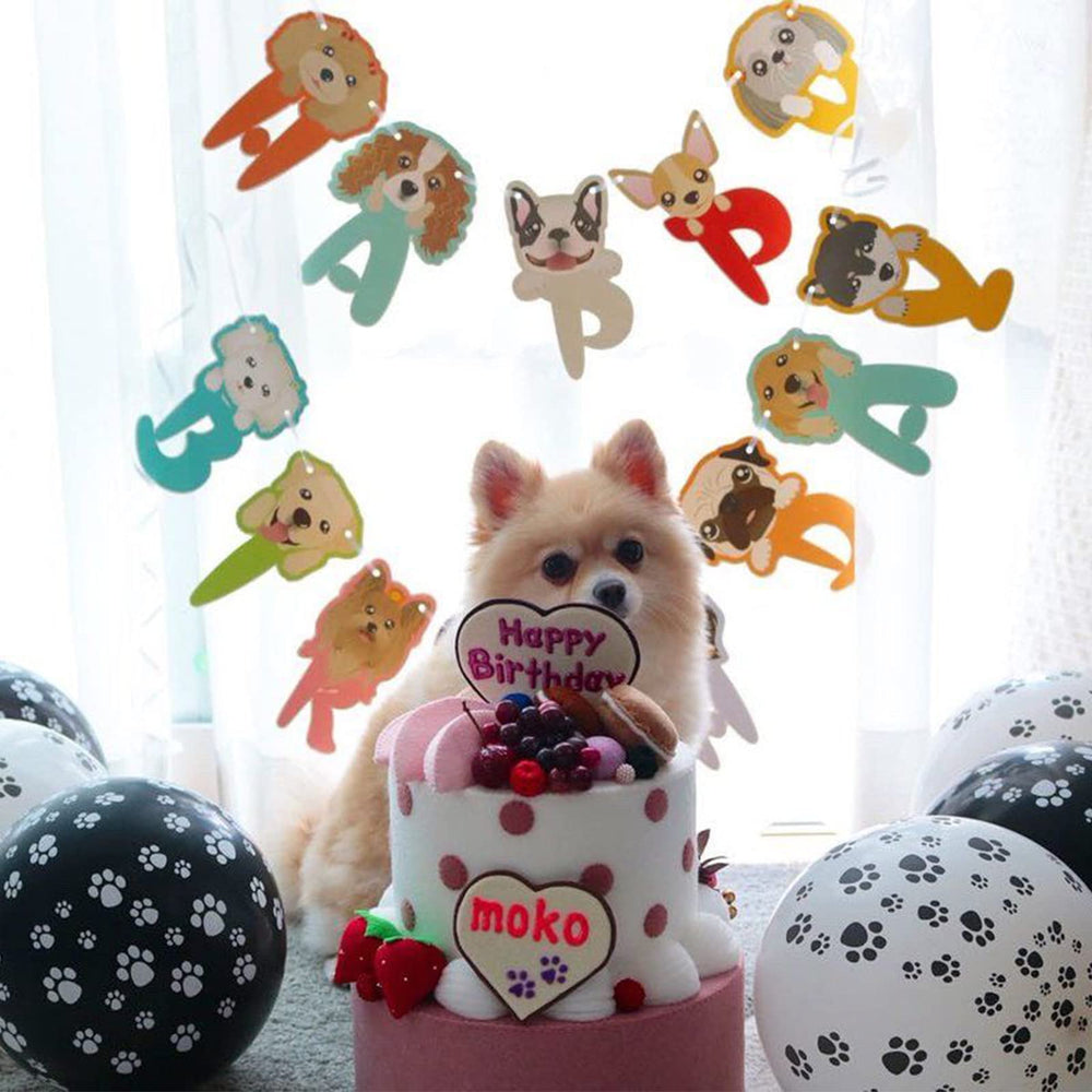 PartyWoo balloons support both air and helium for versatile display