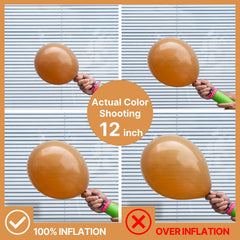 PartyWoo tan balloons 5-inch boho for delicate filler accents.
