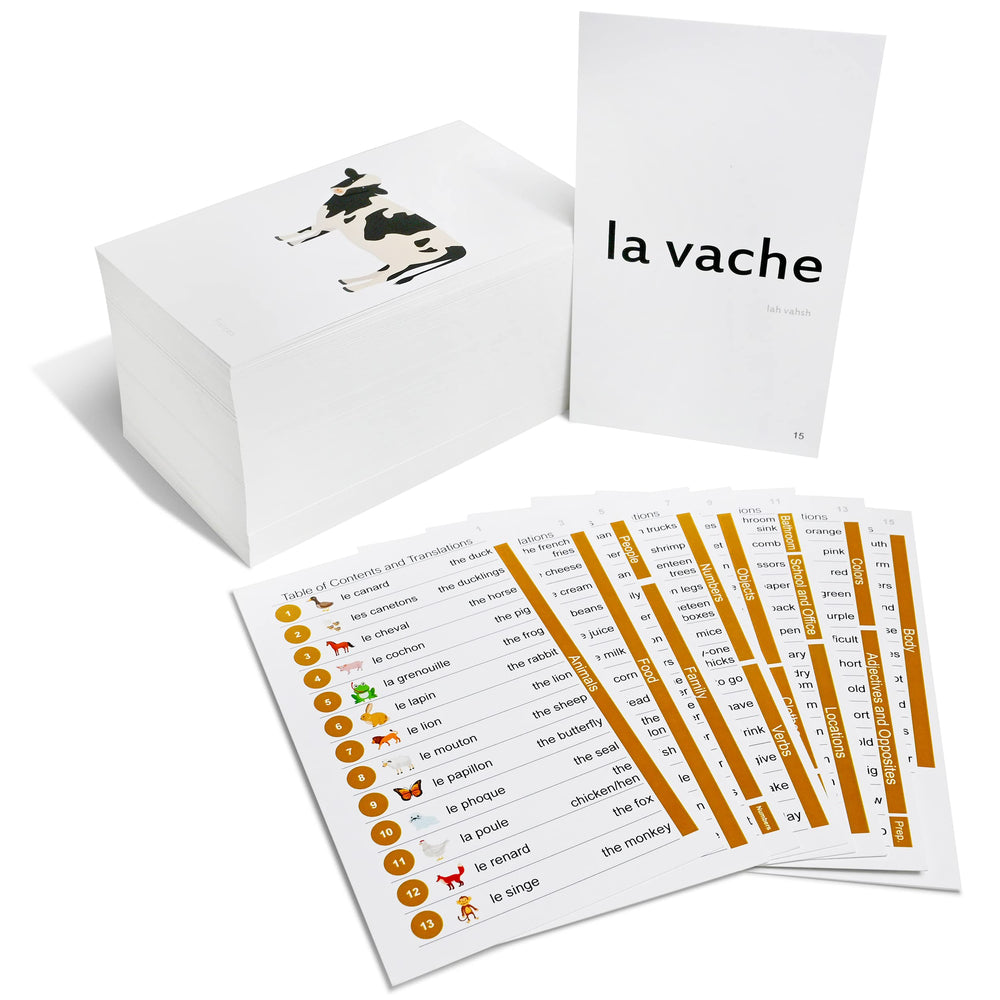 Pat's Flash Cards animal cards with original art to connect French nouns with pictures