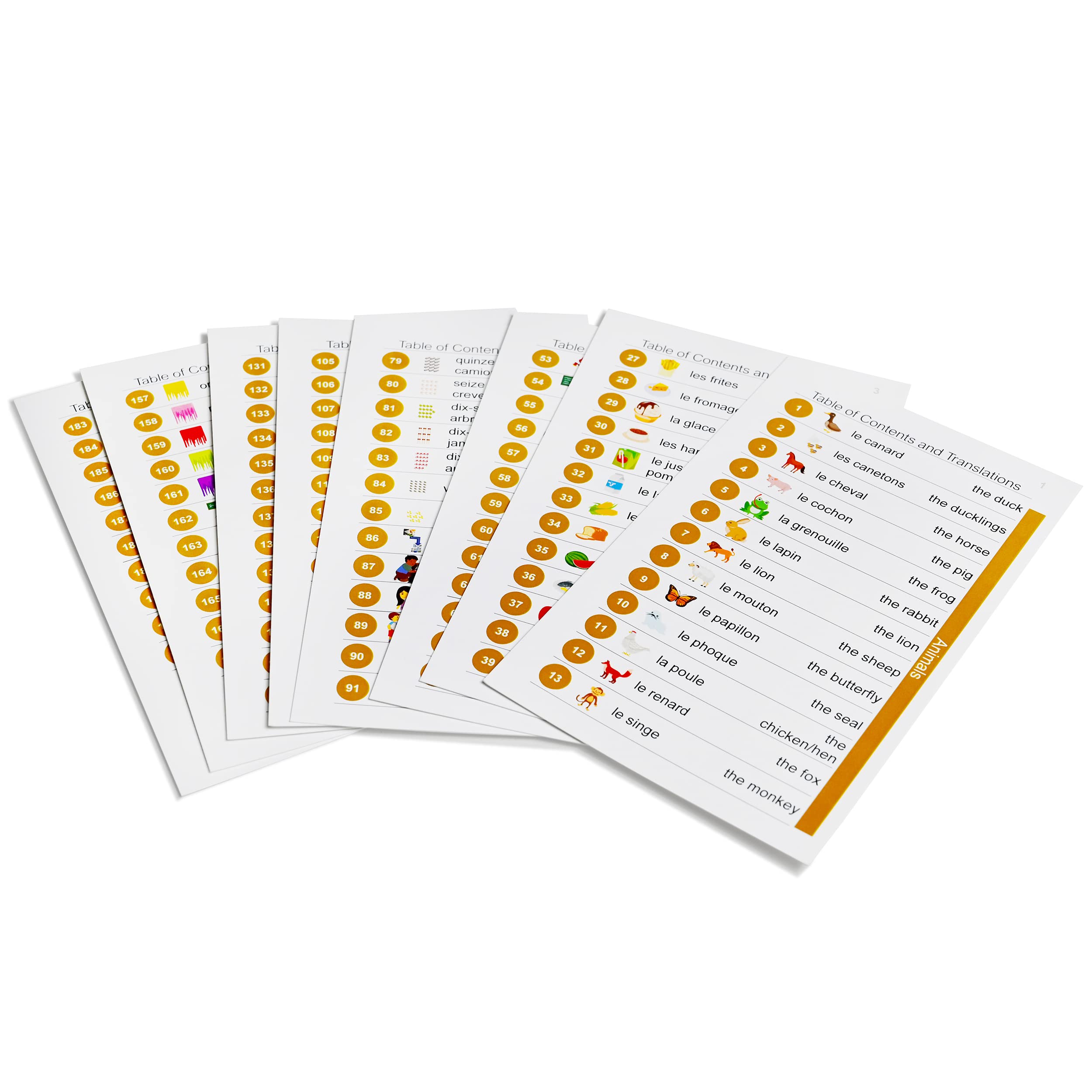Pat's Flash Cards transportation cards show travel prompts for route practice