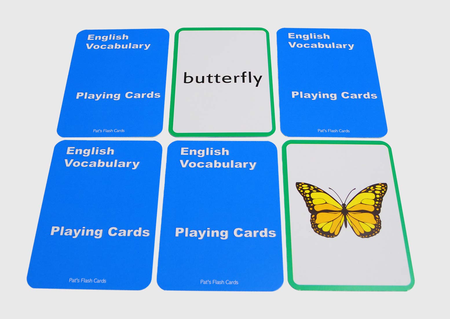 Pat's Flash Cards 384-concentration family cards support interactive learning routines.