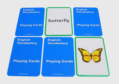 Pat's Flash Cards 384-concentration family cards support interactive learning routines.