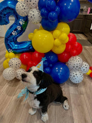PATYDECRO paw print confetti balloons add festive flair