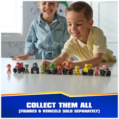 Paw Patrol Rescue Wheels Pup Squad racers for a growing collection