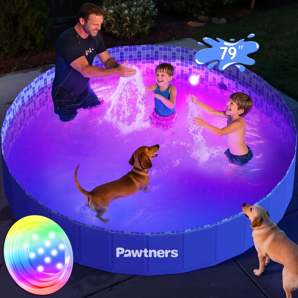 Pawtners pool with slip-resistant textured base for stable play.